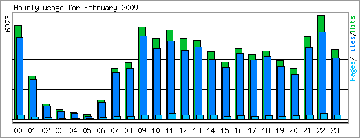 Hourly usage