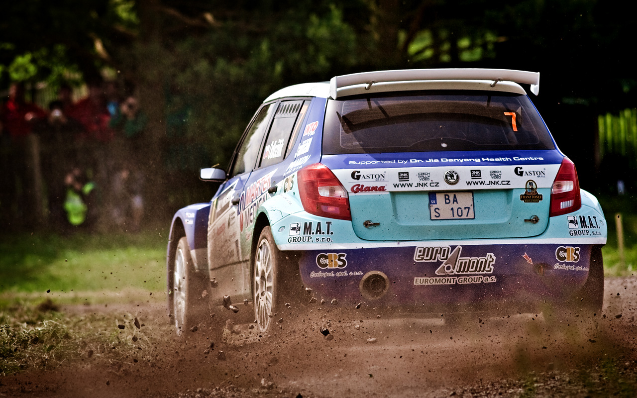 Rally Krkonoše 2010 - Roman Odložilík - Skoda Fabia S2000