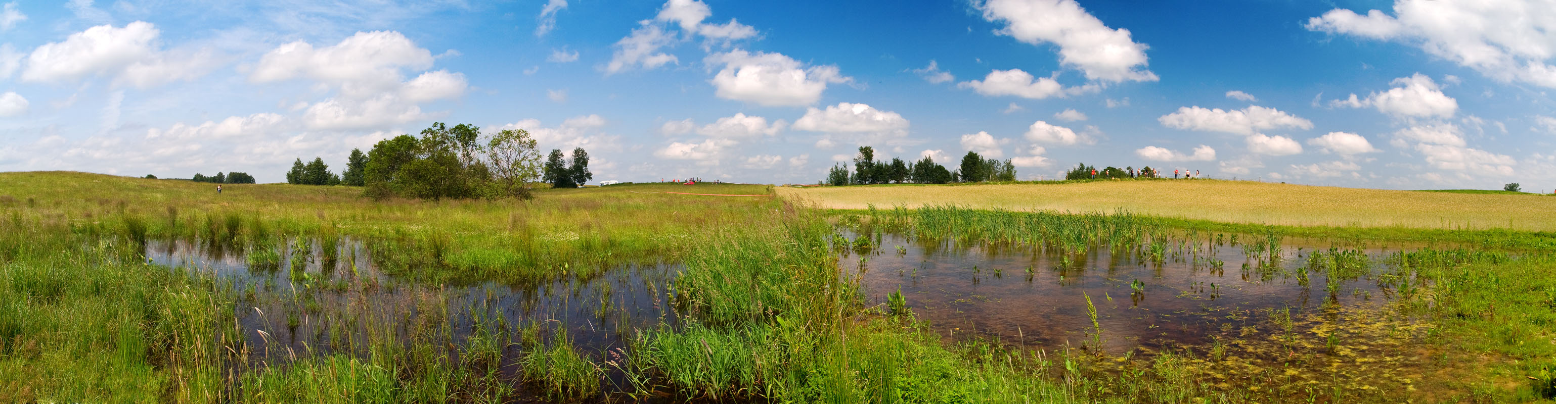Snapshots from WRC Poland 2009